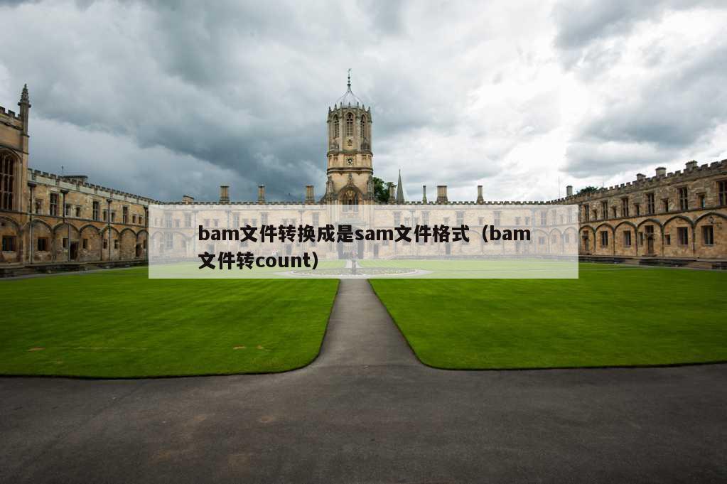 bam文件转换成是sam文件格式（bam文件转count）