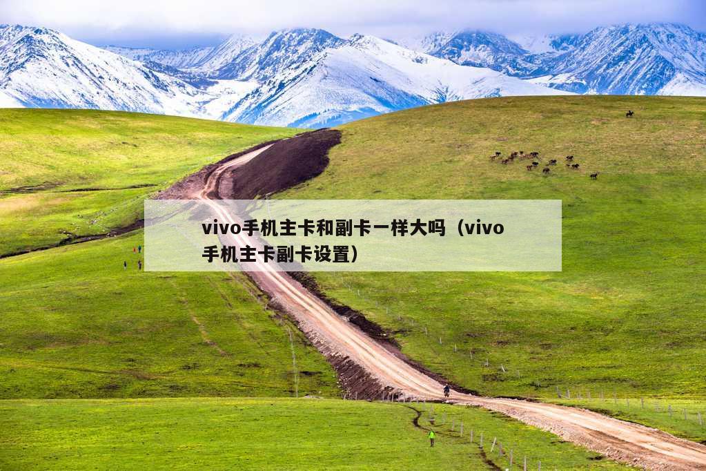 vivo手机主卡和副卡一样大吗（vivo手机主卡副卡设置）