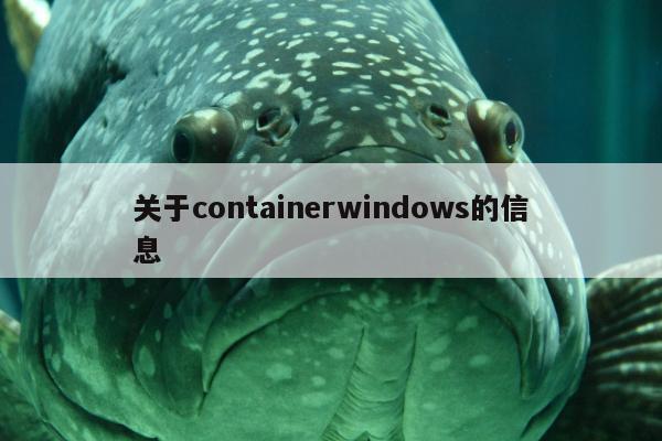 关于containerwindows的信息