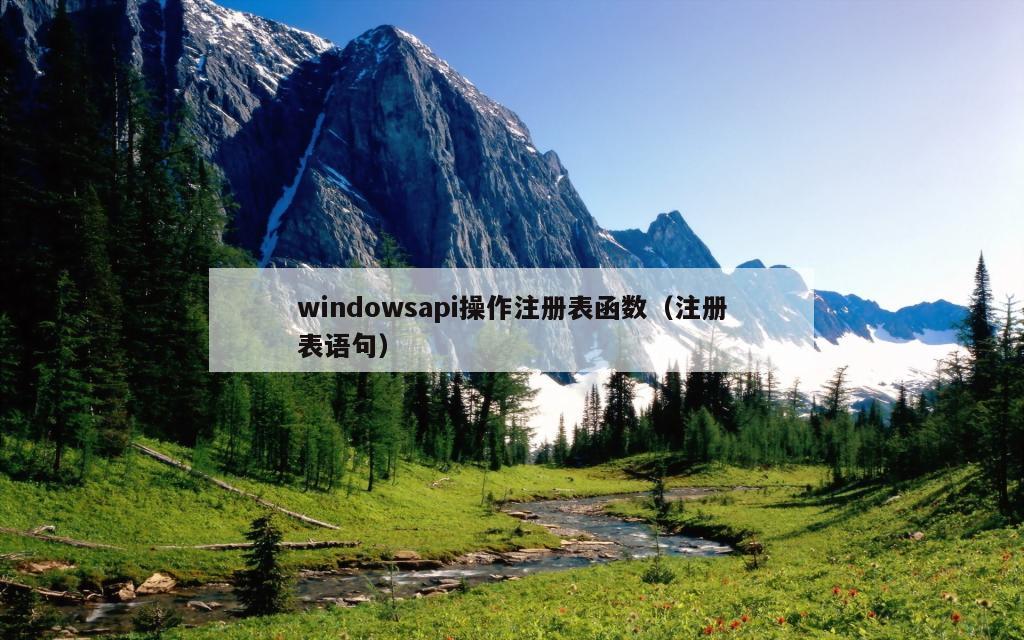 windowsapi操作注册表函数（注册表语句）