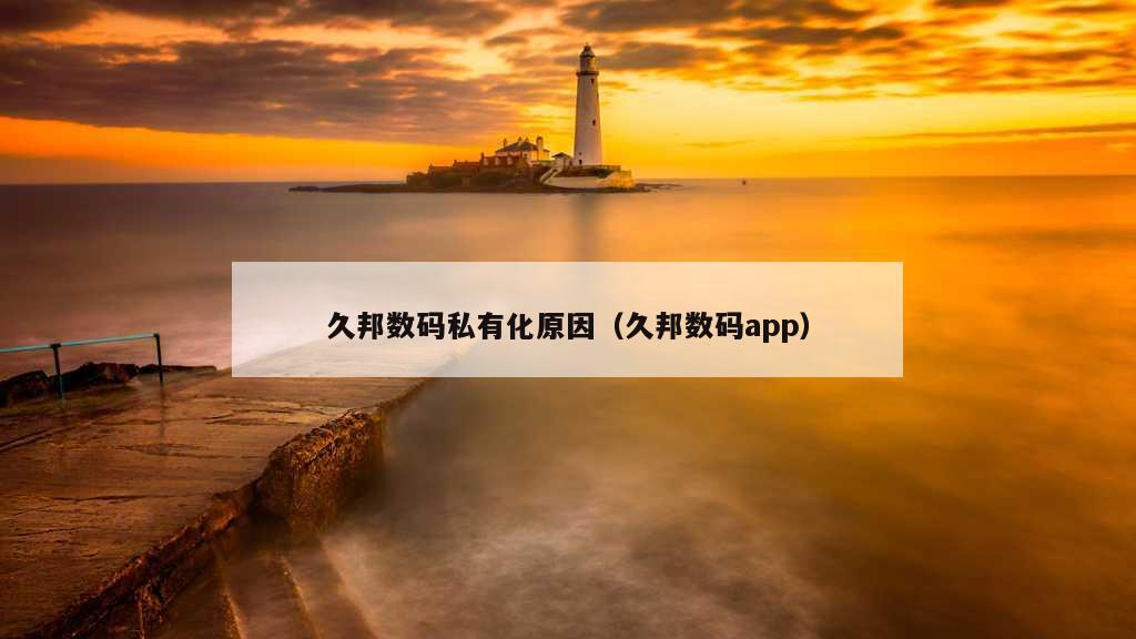 久邦数码私有化原因（久邦数码app）