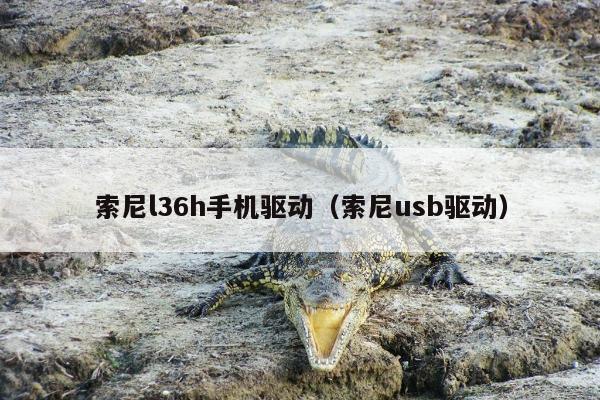 索尼l36h手机驱动（索尼usb驱动）