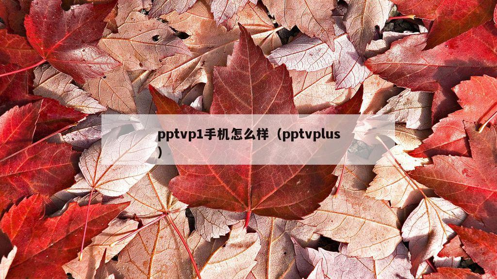 pptvp1手机怎么样（pptvplus）