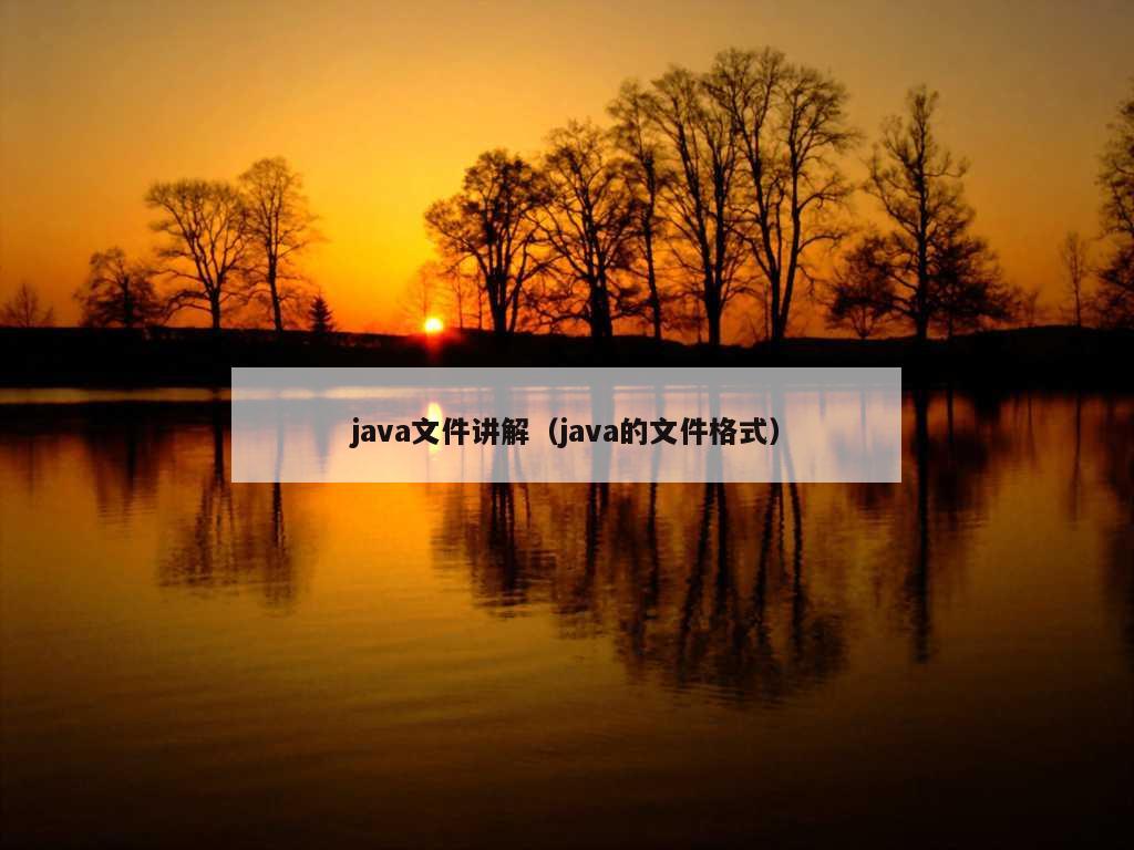 java文件讲解（java的文件格式）