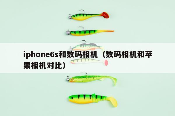 iphone6s和数码相机（数码相机和苹果相机对比）