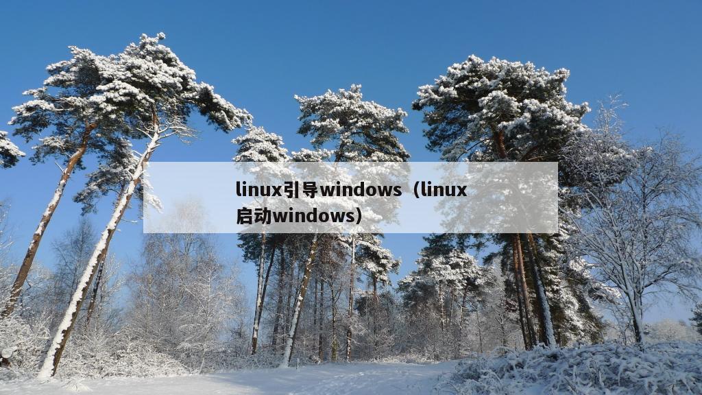 linux引导windows（linux启动windows）