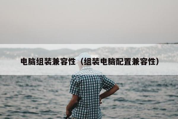 电脑组装兼容性（组装电脑配置兼容性）