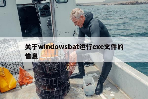 关于windowsbat运行exe文件的信息