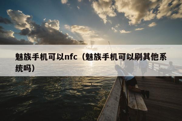 魅族手机可以nfc（魅族手机可以刷其他系统吗）