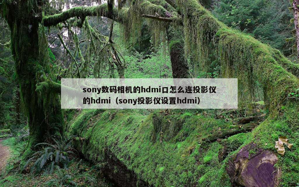 sony数码相机的hdmi口怎么连投影仪的hdmi（sony投影仪设置hdmi）