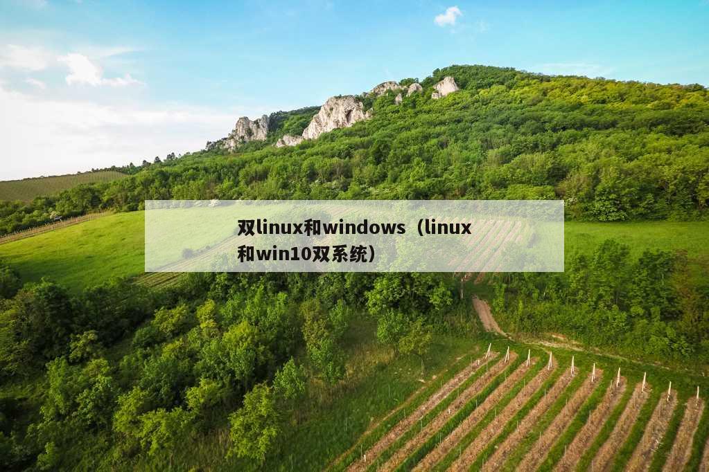 双linux和windows（linux和win10双系统）