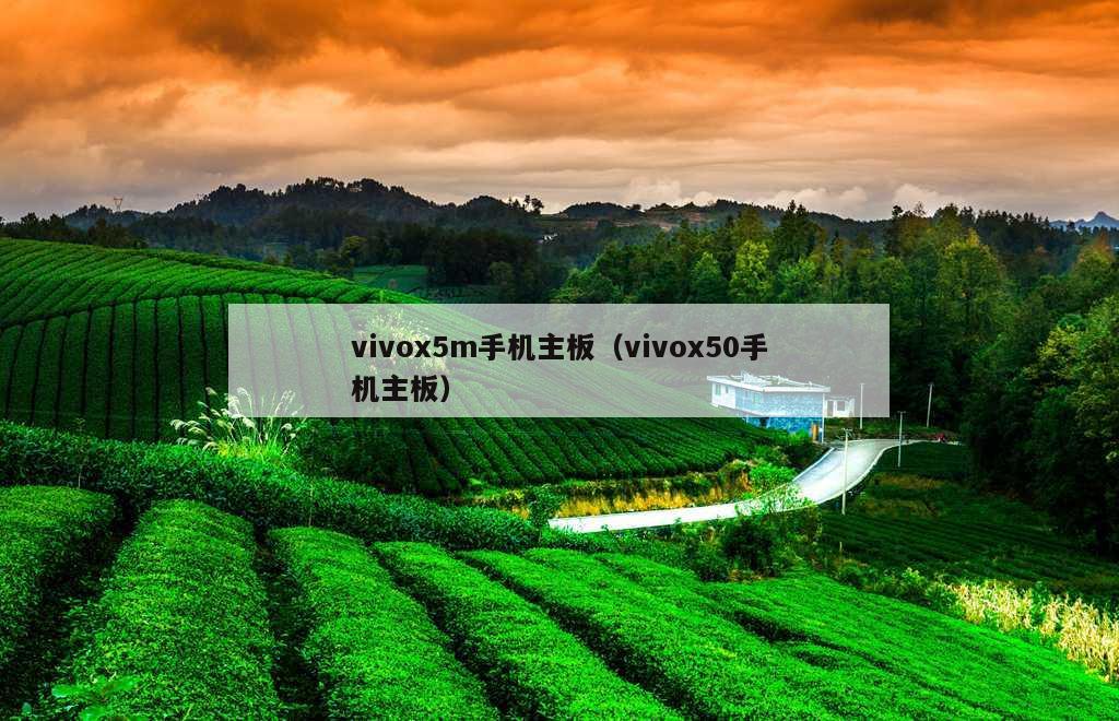 vivox5m手机主板（vivox50手机主板）