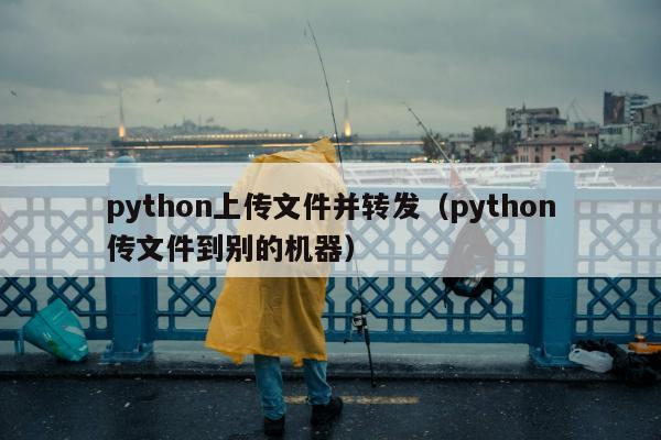 python上传文件并转发（python传文件到别的机器）