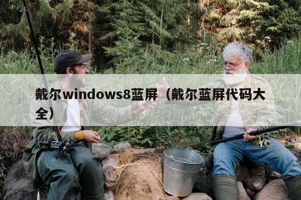 戴尔windows8蓝屏（戴尔蓝屏代码大全）