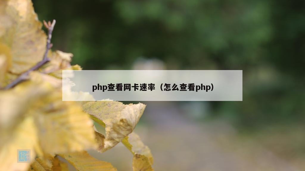 php查看网卡速率（怎么查看php）