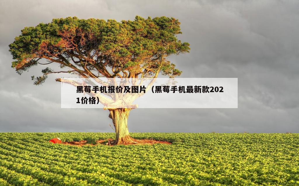 黑莓手机报价及图片（黑莓手机最新款2021价格）