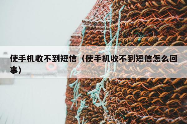 使手机收不到短信（使手机收不到短信怎么回事）