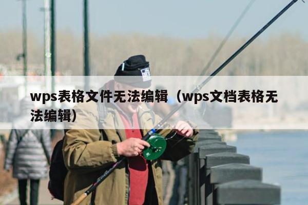 wps表格文件无法编辑（wps文档表格无法编辑）