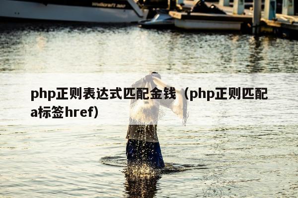 php正则表达式匹配金钱（php正则匹配a标签href）