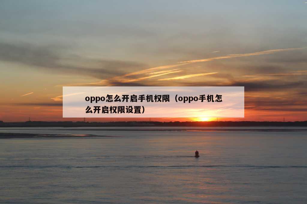 oppo怎么开启手机权限（oppo手机怎么开启权限设置）