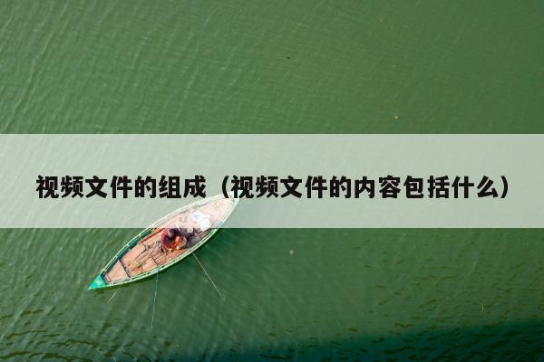 视频文件的组成（视频文件的内容包括什么）