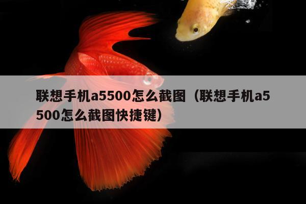 联想手机a5500怎么截图（联想手机a5500怎么截图快捷键）