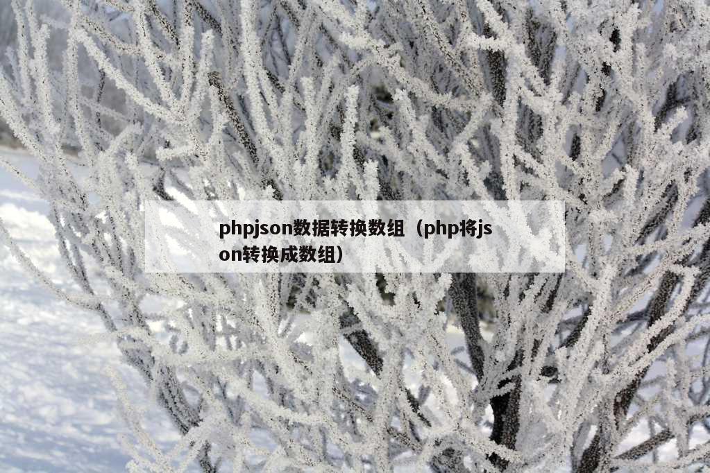 phpjson数据转换数组（php将json转换成数组）