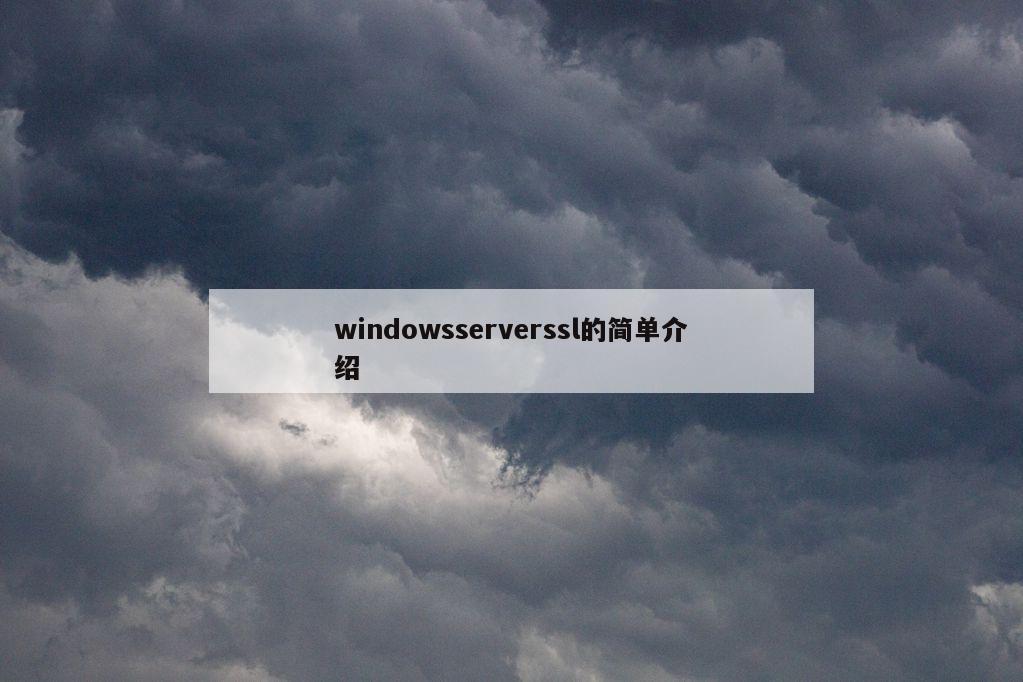 windowsserverssl的简单介绍