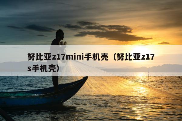 努比亚z17mini手机壳（努比亚z17s手机壳）