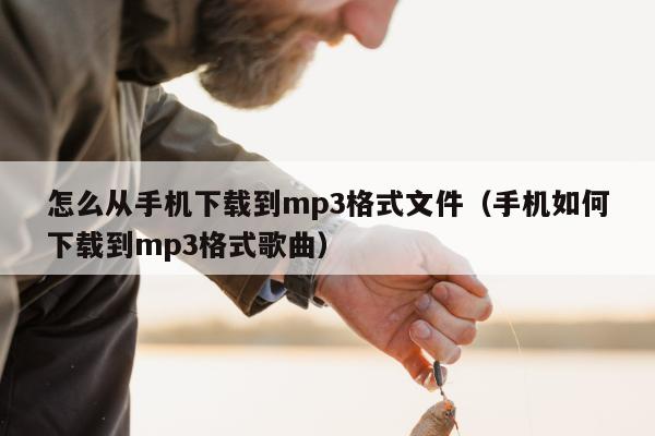 怎么从手机下载到mp3格式文件（手机如何下载到mp3格式歌曲）