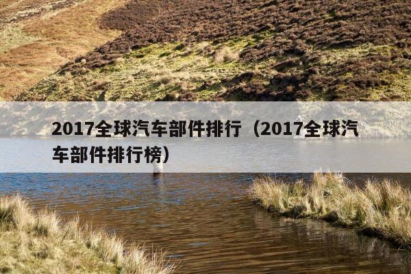 2017全球汽车部件排行（2017全球汽车部件排行榜）