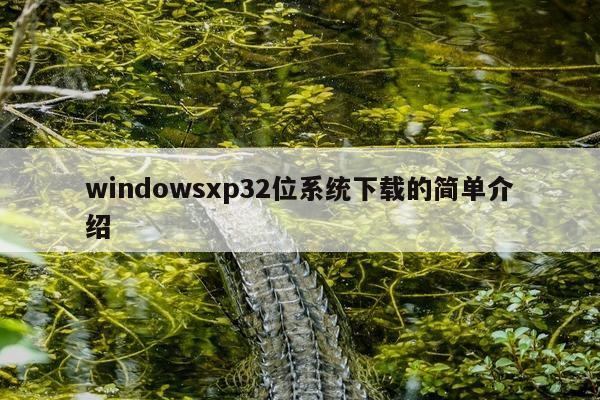 windowsxp32位系统下载的简单介绍