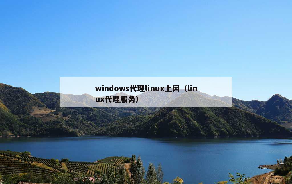 windows代理linux上网（linux代理服务）