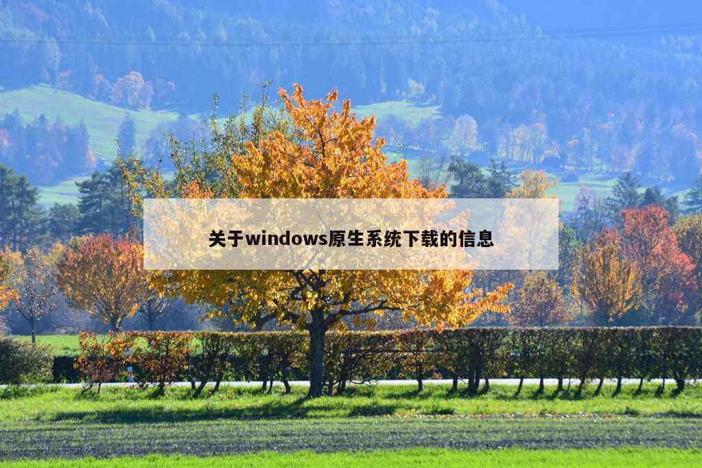 关于windows原生系统下载的信息