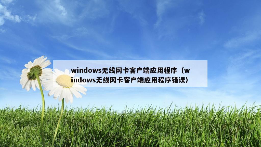 windows无线网卡客户端应用程序（windows无线网卡客户端应用程序错误）