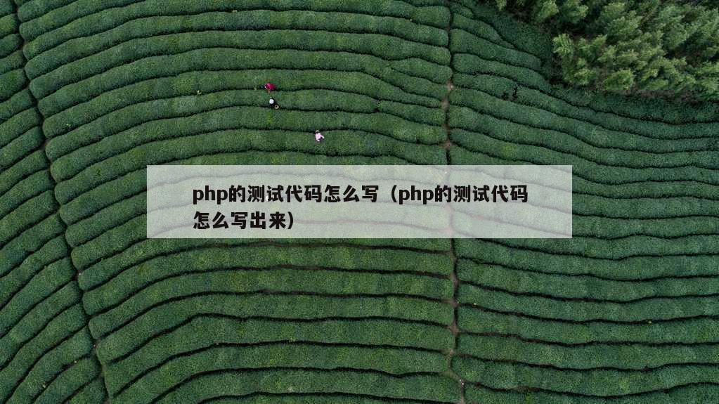 php的测试代码怎么写（php的测试代码怎么写出来）