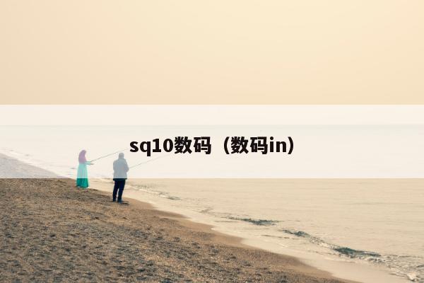 sq10数码（数码in）