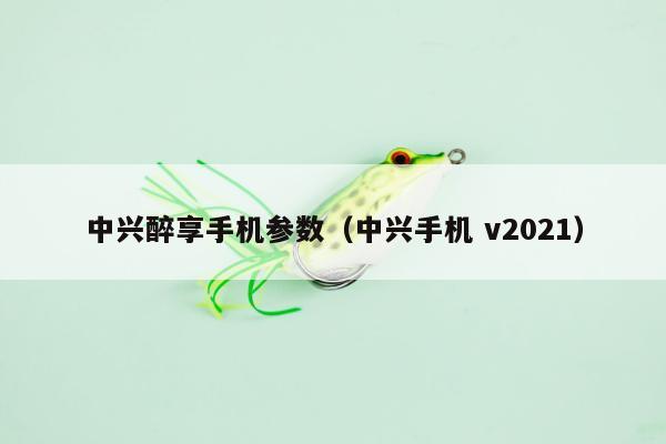 中兴醉享手机参数（中兴手机 v2021）