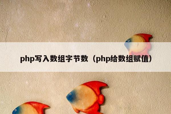 php写入数组字节数（php给数组赋值）