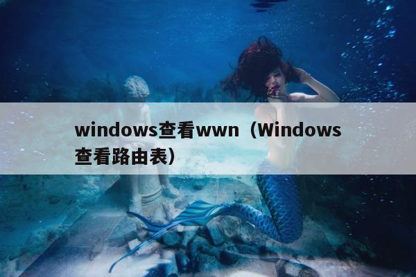 windows查看wwn（Windows查看路由表）