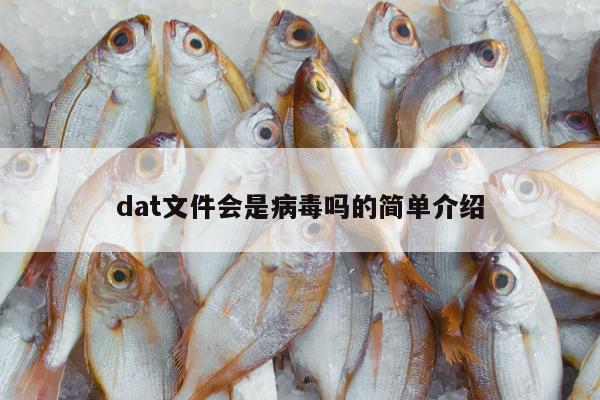 dat文件会是病毒吗的简单介绍