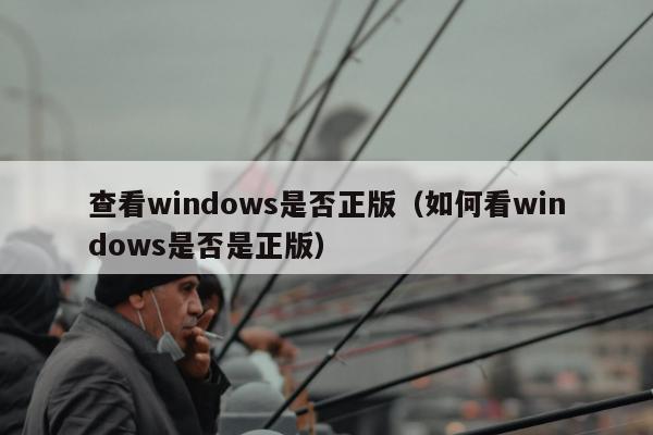 查看windows是否正版（如何看windows是否是正版）