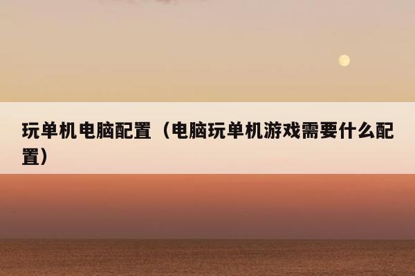 玩单机电脑配置（电脑玩单机游戏需要什么配置）