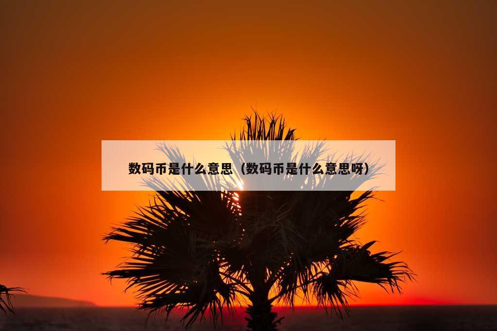 数码币是什么意思（数码币是什么意思呀）