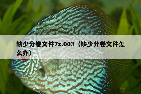 缺少分卷文件7z.003（缺少分卷文件怎么办）