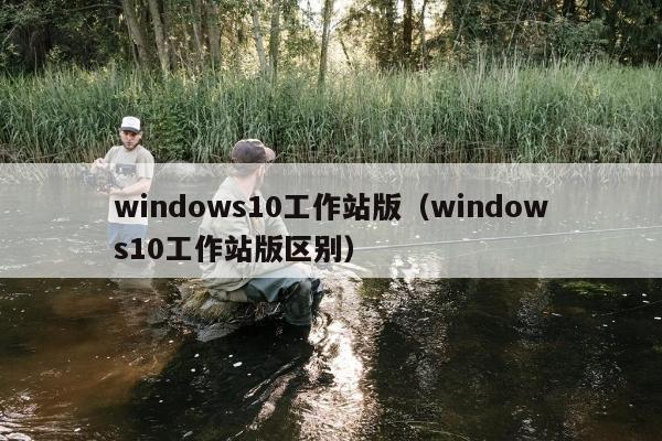 windows10工作站版（windows10工作站版区别）