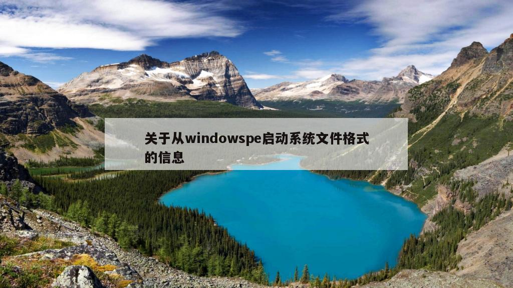 关于从windowspe启动系统文件格式的信息