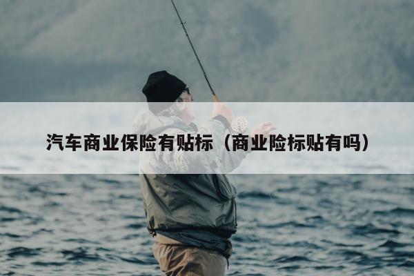 汽车商业保险有贴标（商业险标贴有吗）