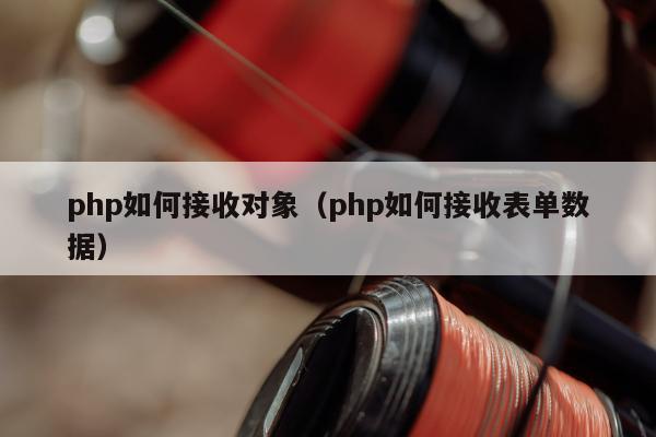 php如何接收对象（php如何接收表单数据）