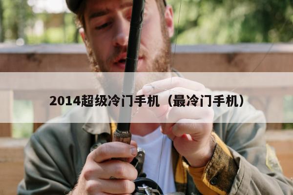 2014超级冷门手机（最冷门手机）